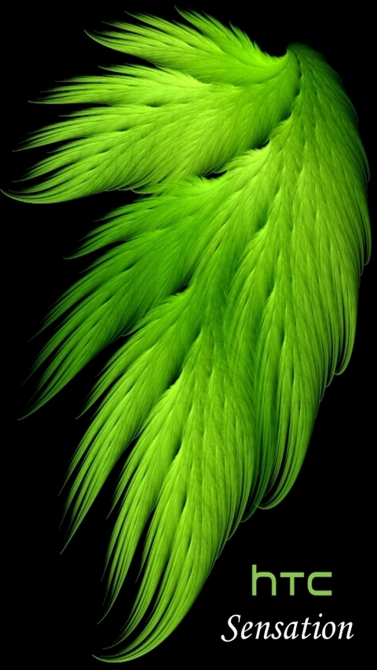 sensation_03.jpg