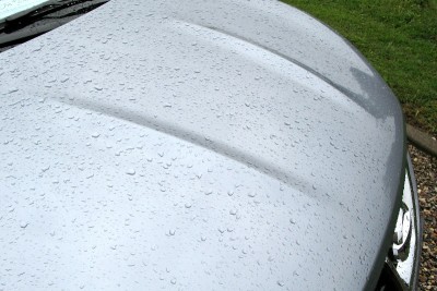 IMG_8786.JPG