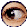 auge_0006[1].gif
