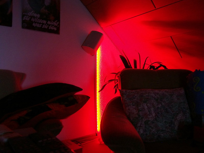P9060015.JPG