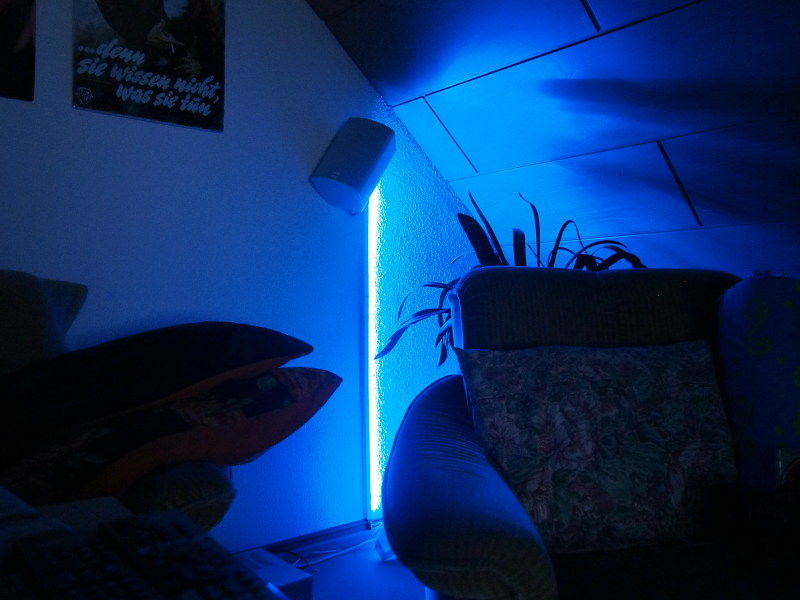 P9060013.JPG