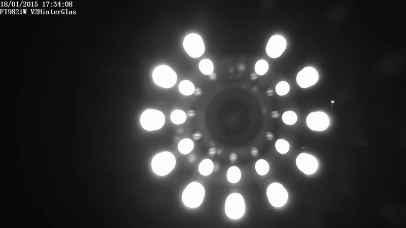 hinter_glas.jpg