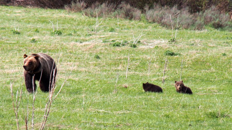 mama_und_2_babys_05.JPG