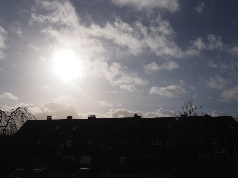 P2211423.JPG